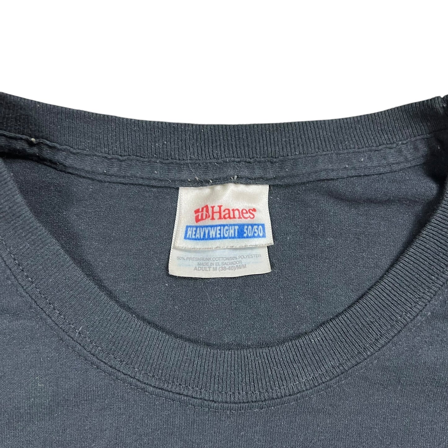 Vintage Y2K Hanes Slingshot Dakota faded band tee (M)
