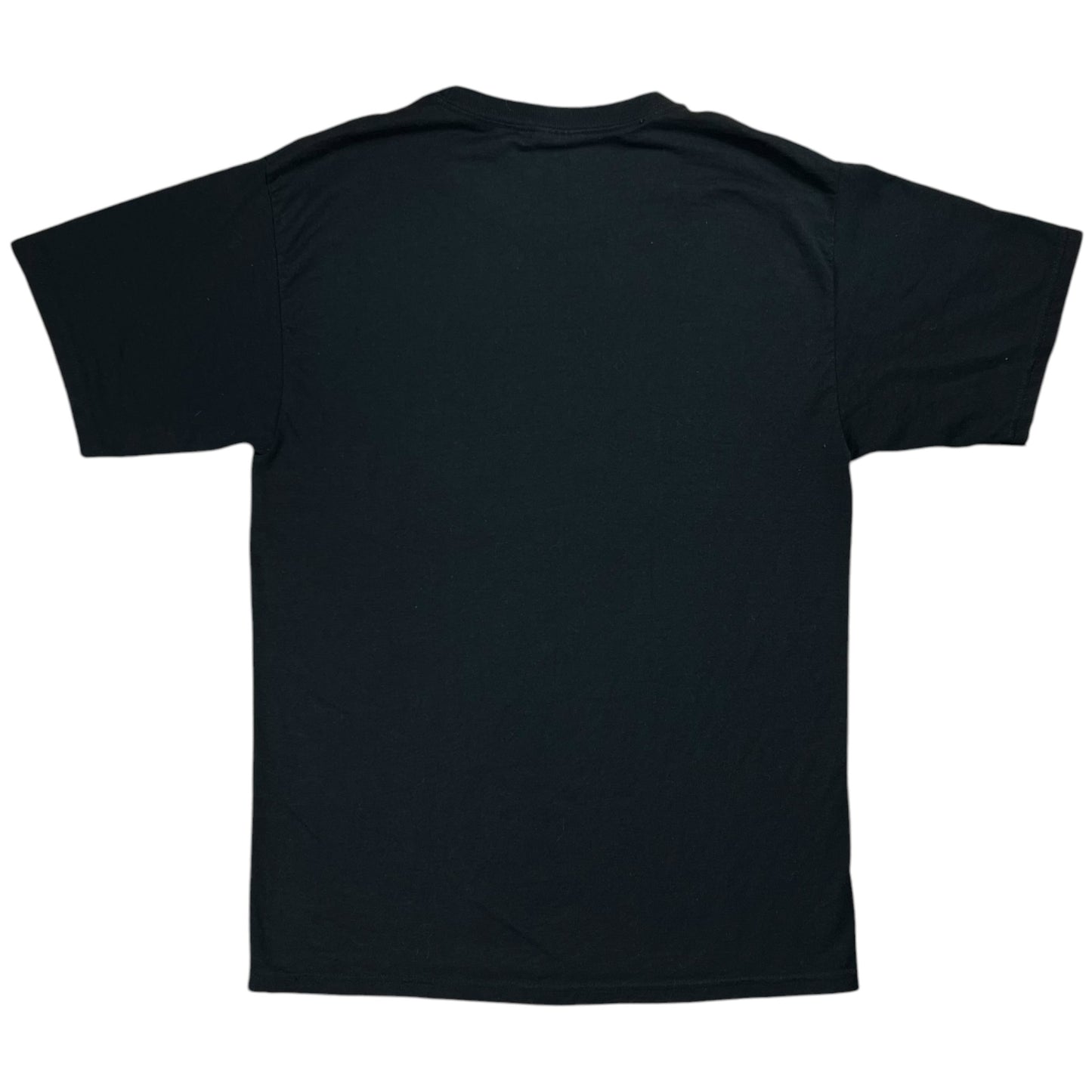 Vintage Y2K Hanes Slingshot Dakota faded band tee (M)