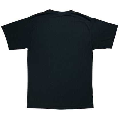 Vintage Y2K Hanes Slingshot Dakota faded band tee (M)