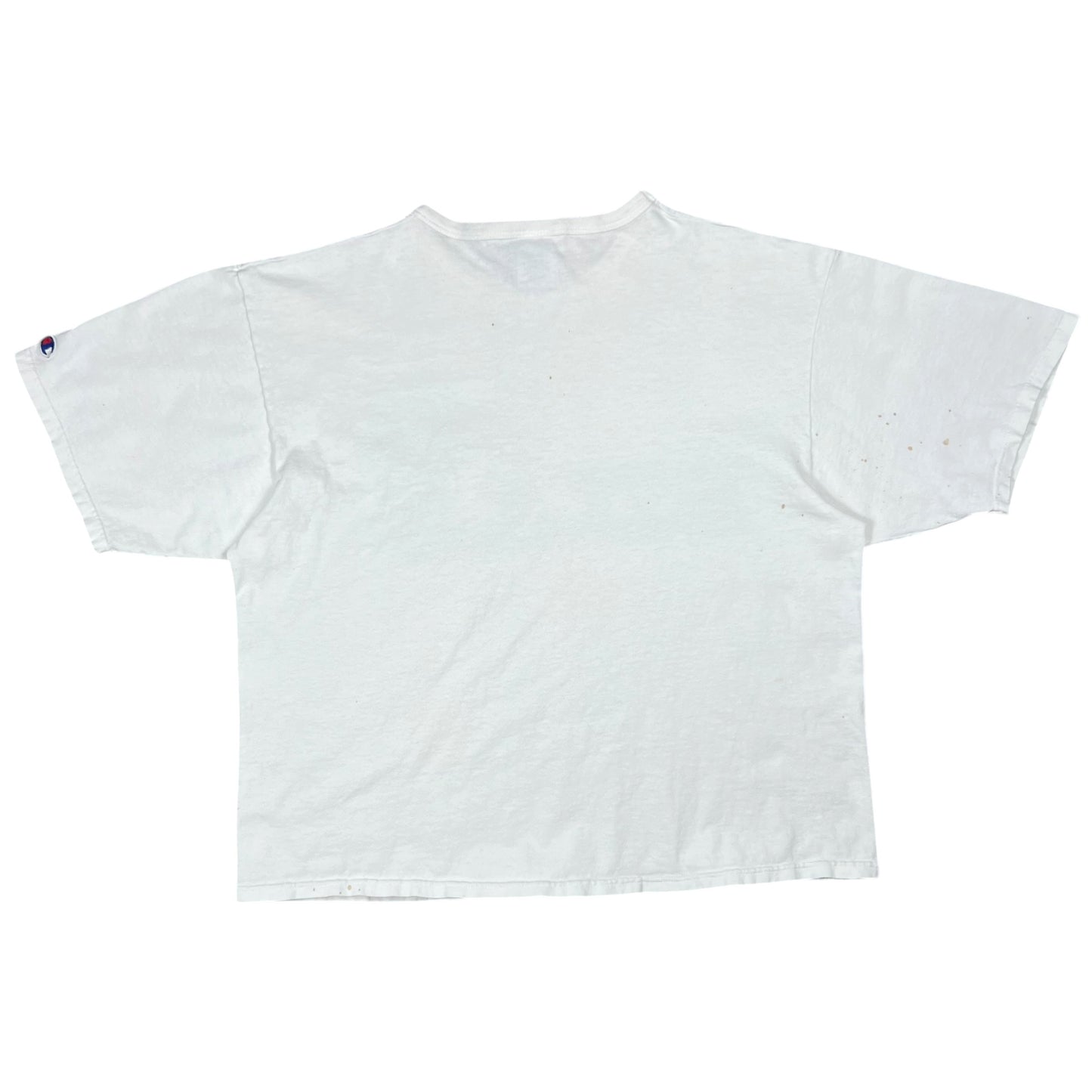 Vintage 90s Champion Buffalo Bills NFL faded tee (XL)