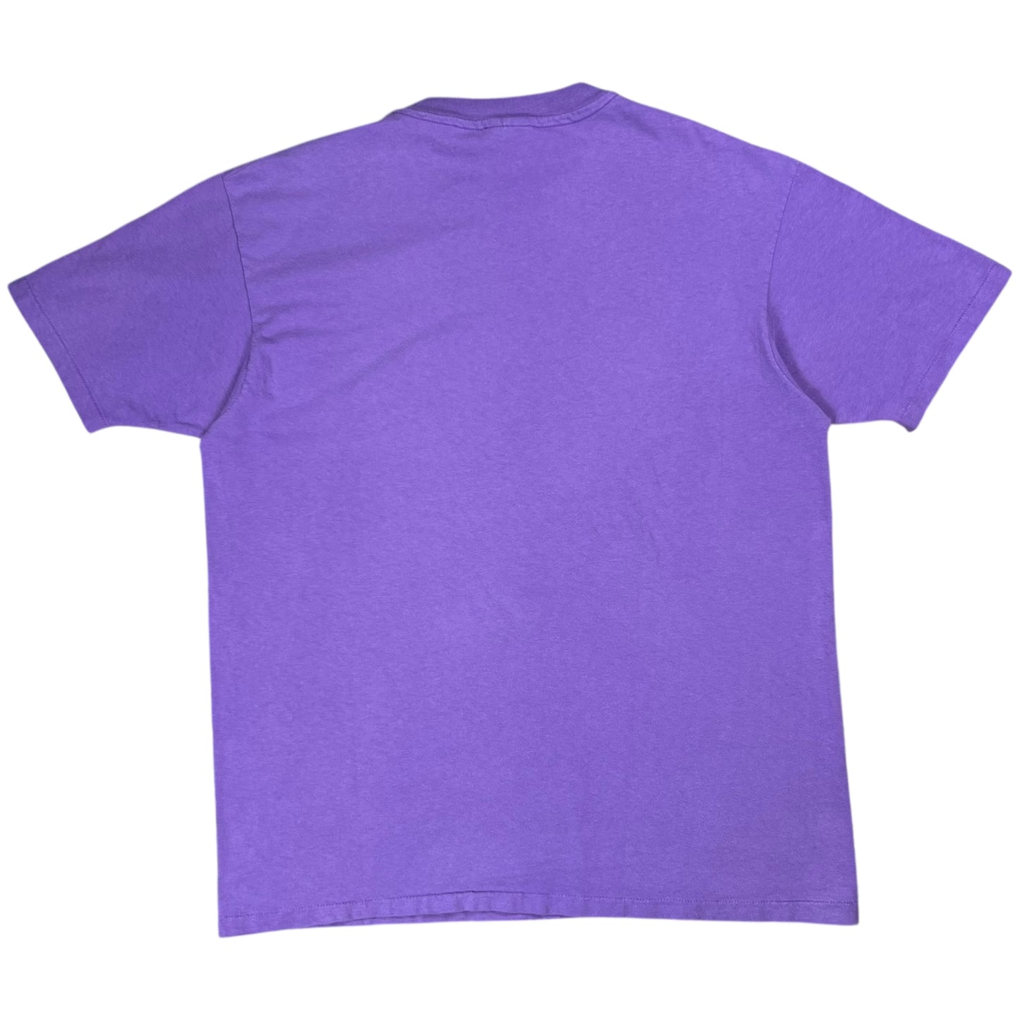 Vintage 90s L.L. Bean Hanes Mount Katahdin faded purple logo art tee (XL)
