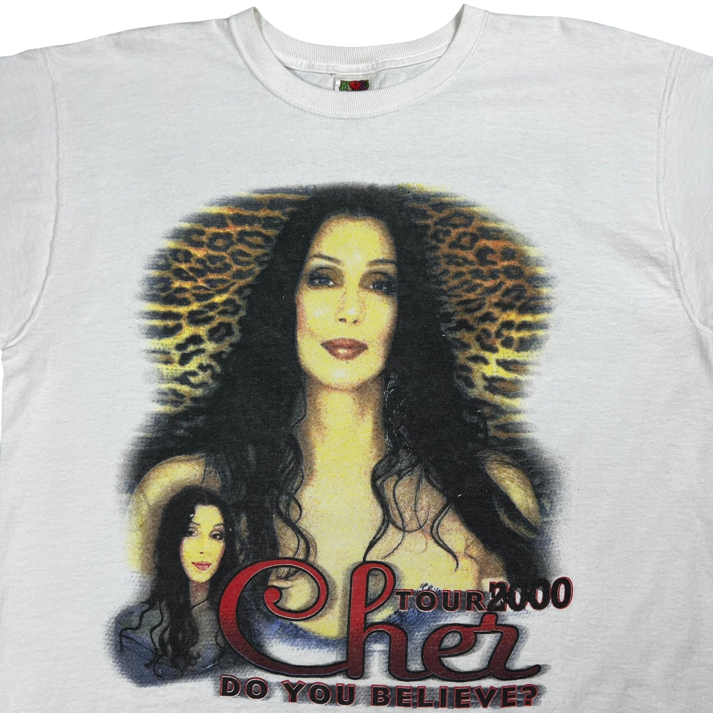 Vintage 2000 Cher Do you believe? Tour tee (XL)