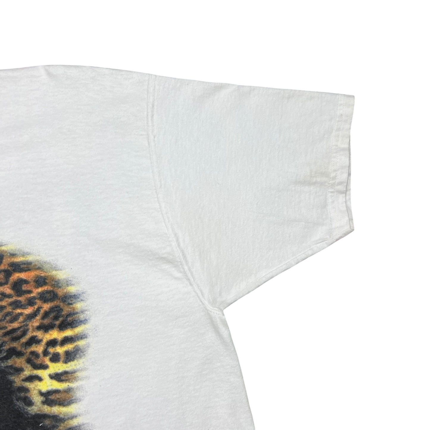 Vintage 2000 Cher Do you believe? Tour tee (XL)