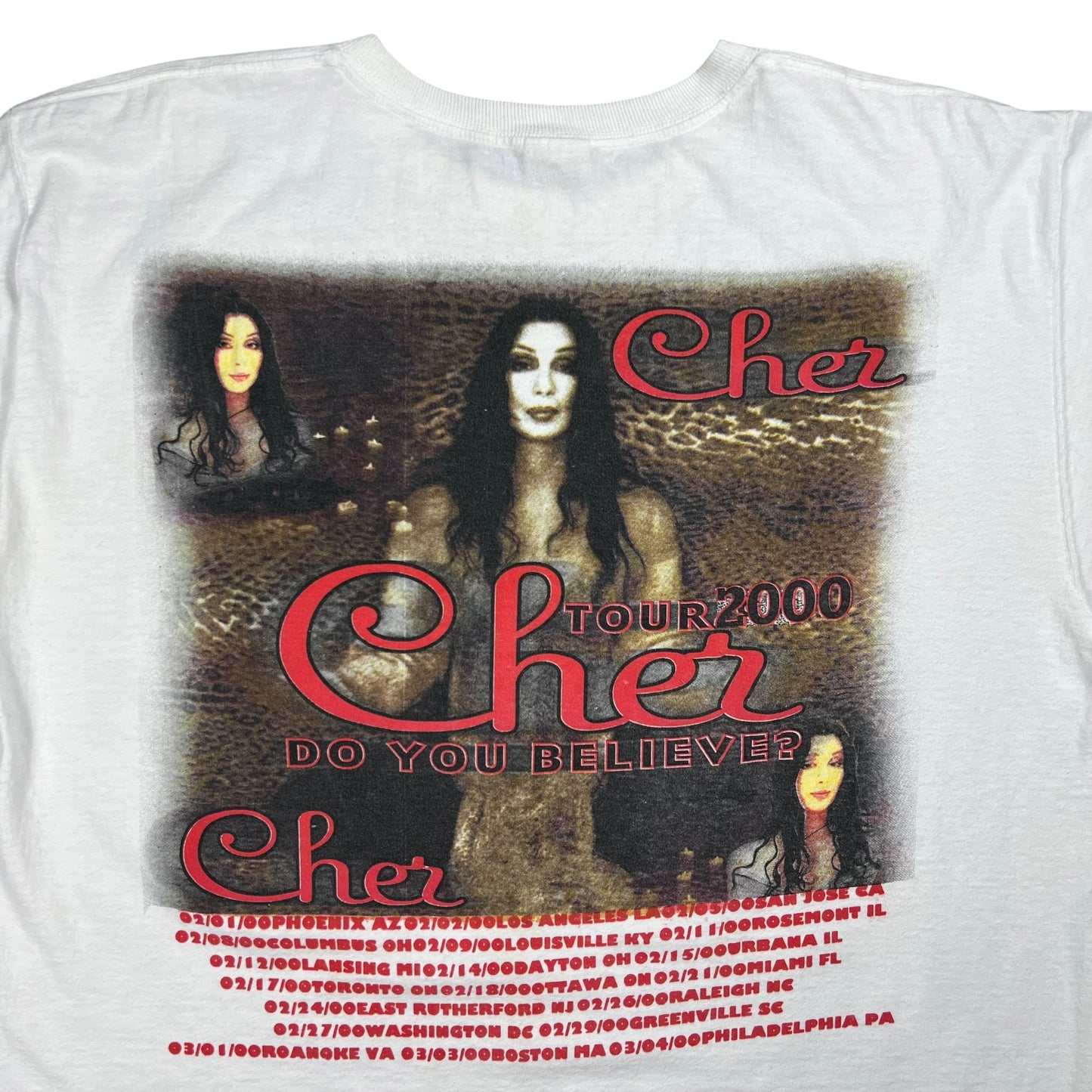 Vintage 2000 Cher Do you believe? Tour tee (XL)