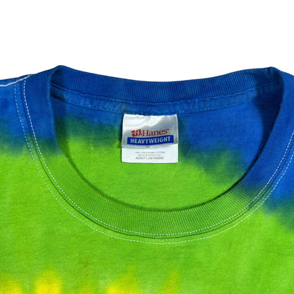 Vintage Y2K Hanes tie dye spiral blank tee (L)