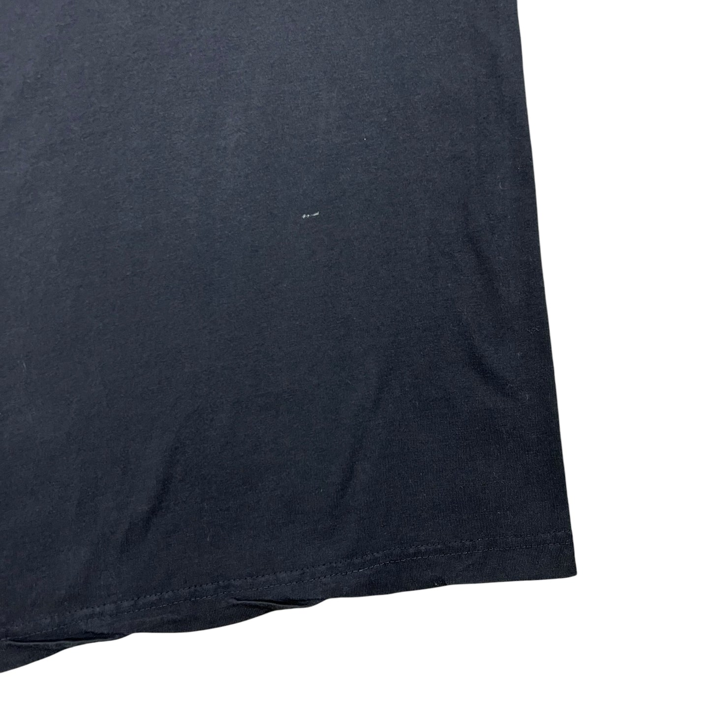 Vintage 90s WCW Goldberg. Who’s Next? Wrestling tee (XL)