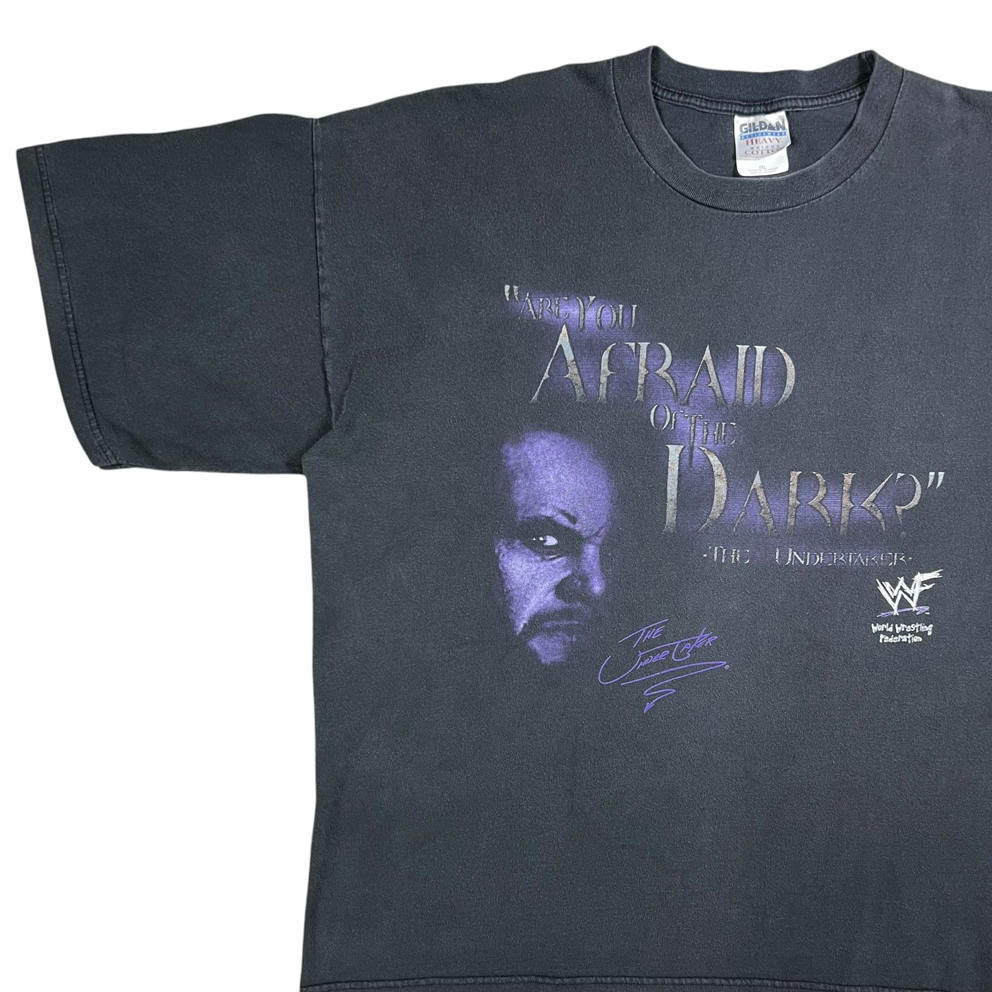 Vintage 90s The Undertaker “Are Your Afraid of the Dark?” WWF faded tee (XXL)