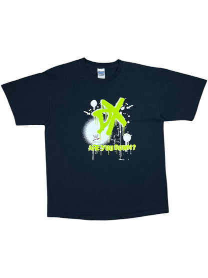 Vintage Y2K WWE D-Generation X DX “ARE YOU DOWN?” Wrestling tee (L)