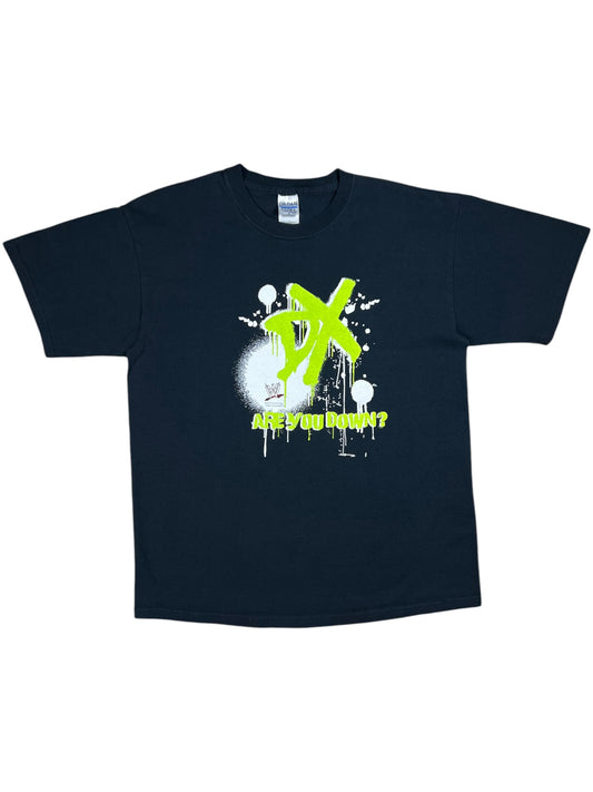 Vintage Y2K WWE D-Generation X DX “ARE YOU DOWN?” Wrestling tee (L)