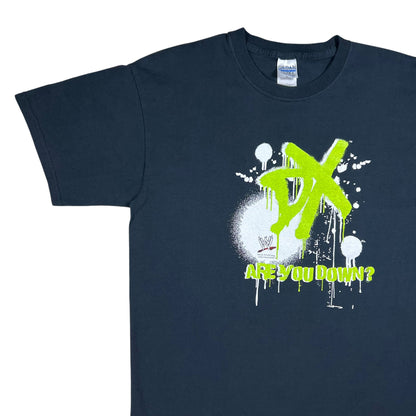 Vintage Y2K WWE D-Generation X DX “ARE YOU DOWN?” Wrestling tee (L)