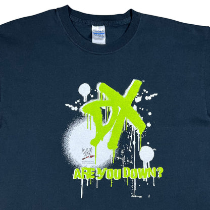 Vintage Y2K WWE D-Generation X DX “ARE YOU DOWN?” Wrestling tee (L)