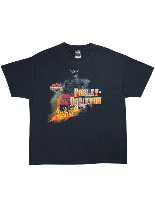 Vintage 2005 Harley Davidson “Freakin’ Hot” biker tee (XL)