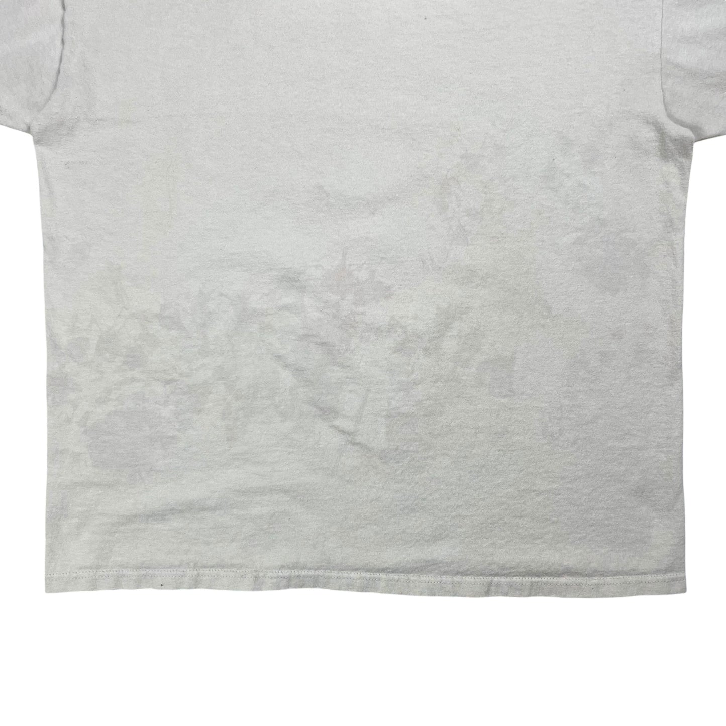 Vintage Y2K Streetlight Manifesto faded band tee (XL)