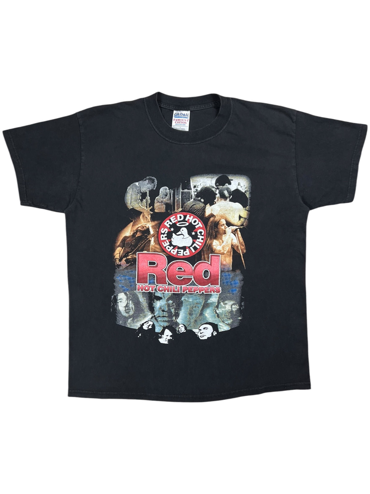 Vintage 2000 Red Hot Chili Peppers RHCP Foo Fighters tour faded band tee (L)