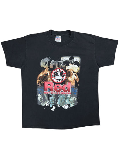 Vintage 2000 Red Hot Chili Peppers RHCP Foo Fighters tour faded band tee (L)
