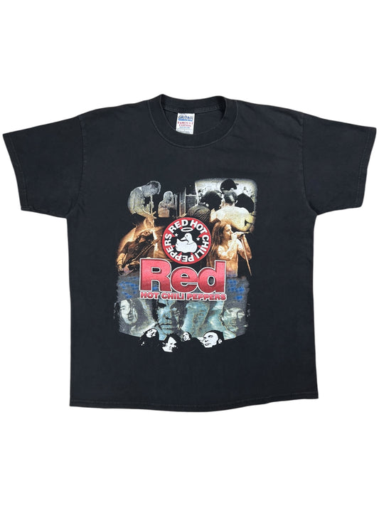 Vintage 2000 Red Hot Chili Peppers RHCP Foo Fighters tour faded band tee (L)