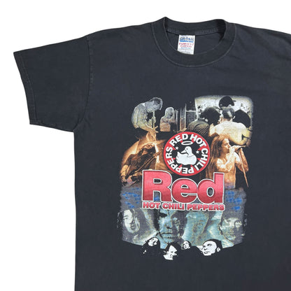 Vintage 2000 Red Hot Chili Peppers RHCP Foo Fighters tour faded band tee (L)