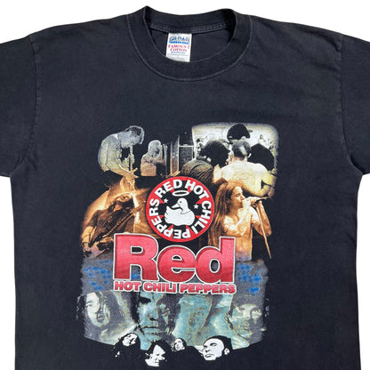 Vintage 2000 Red Hot Chili Peppers RHCP Foo Fighters tour faded band tee (L)
