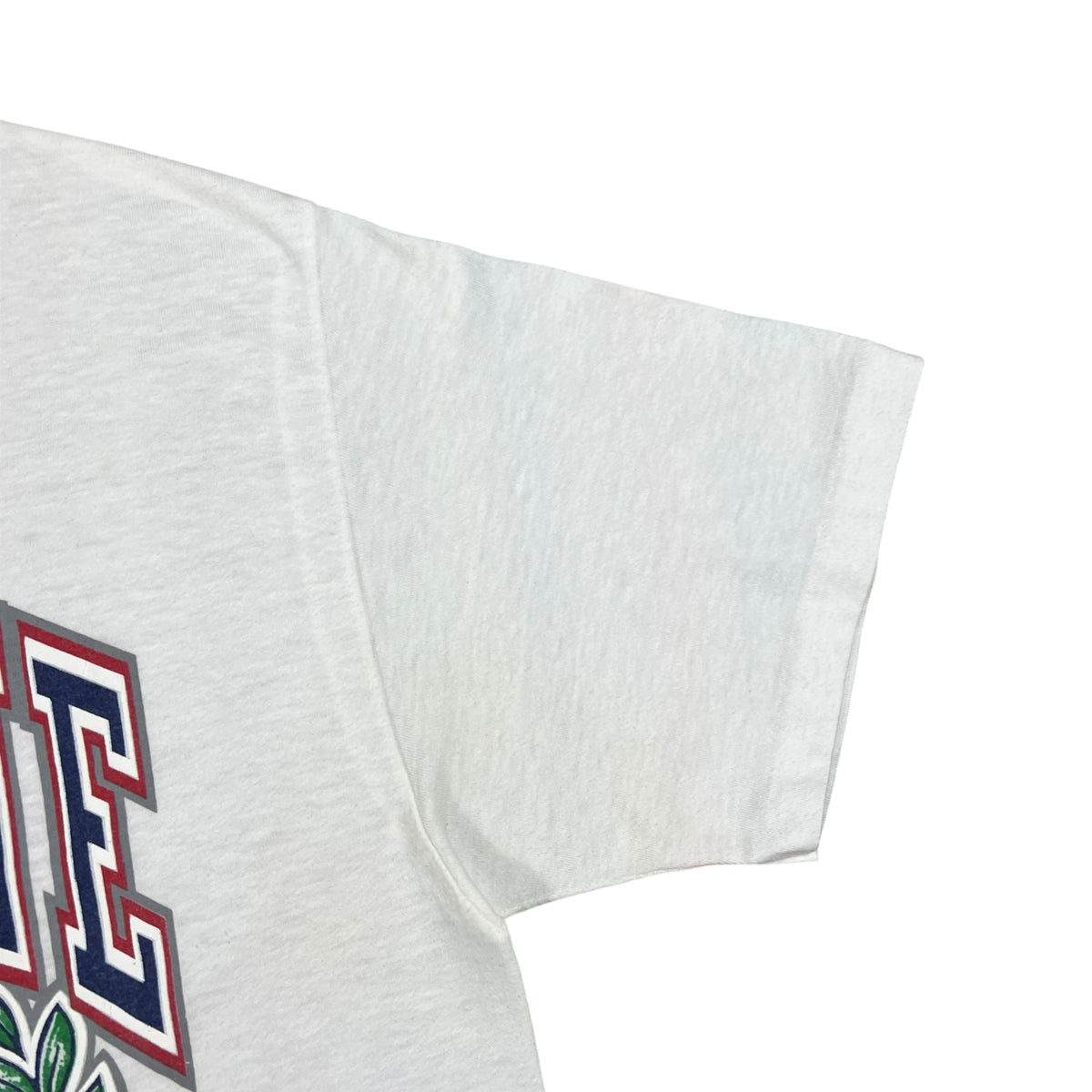 Vintage 80s Duquesne University Dukes crest tee (M)