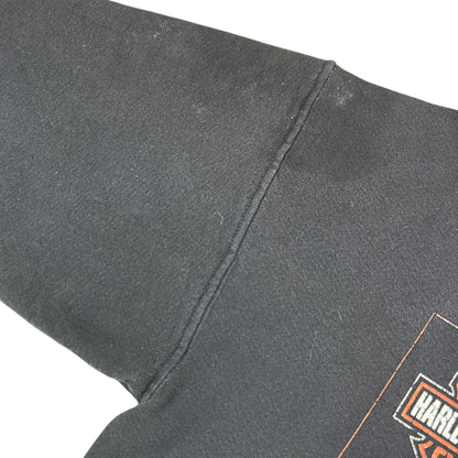 Vintage 2004 Harley Davidson Motorcycles faded flames hoodie (M)