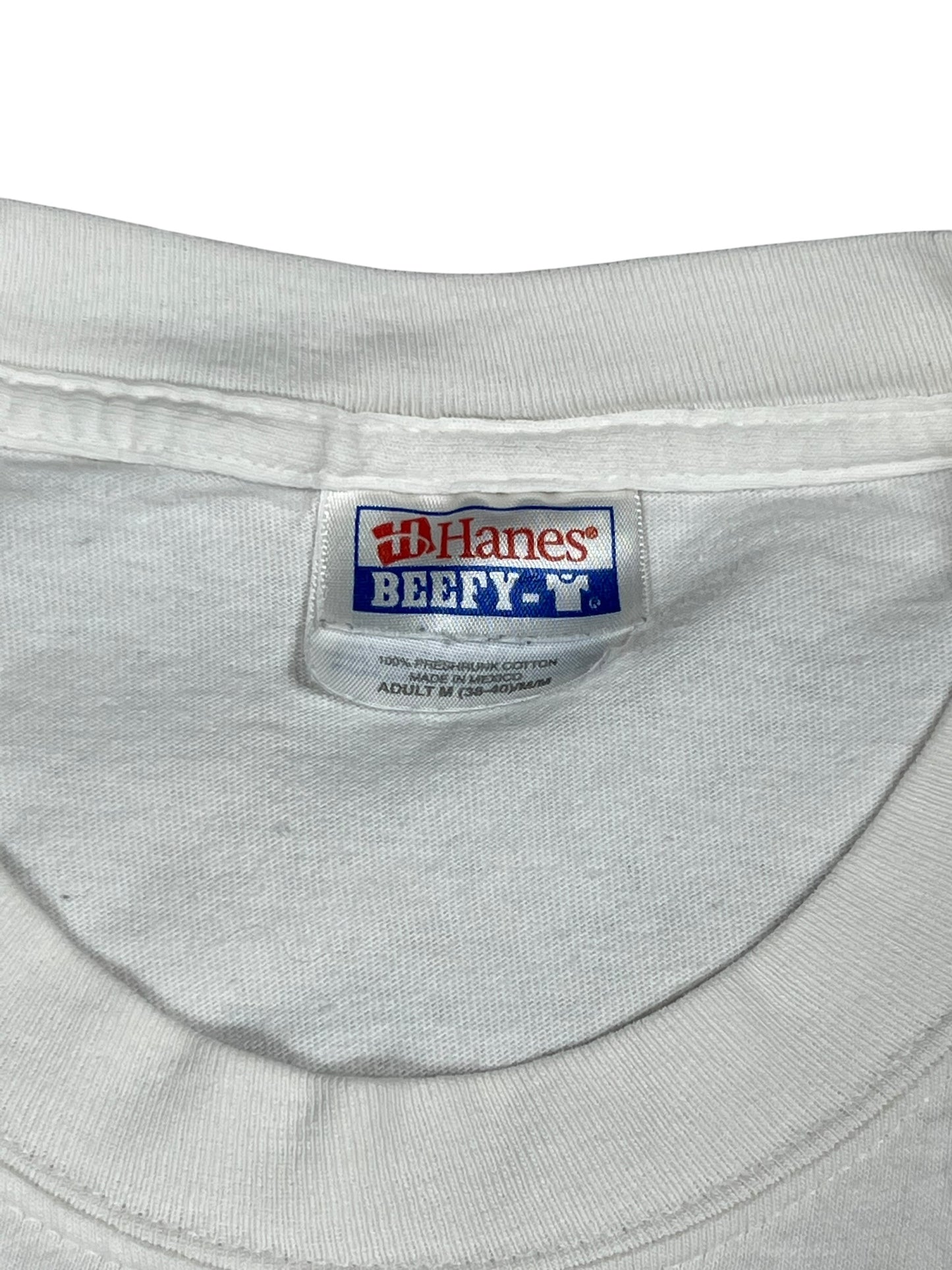 Vintage 2004 Hardly Strictly Blue Grass long sleeve print festival band shirt (M)
