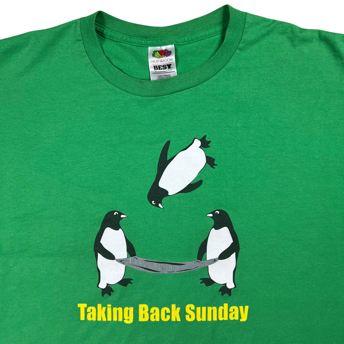 Vintage Y2K Taking Back Sunday rock band tee (L)
