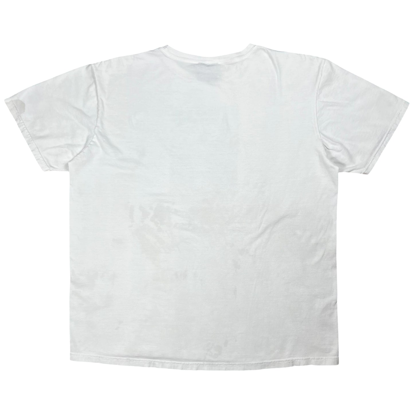 Vintage 90s Polo Sport Ralph Lauren mountains tee (XL)