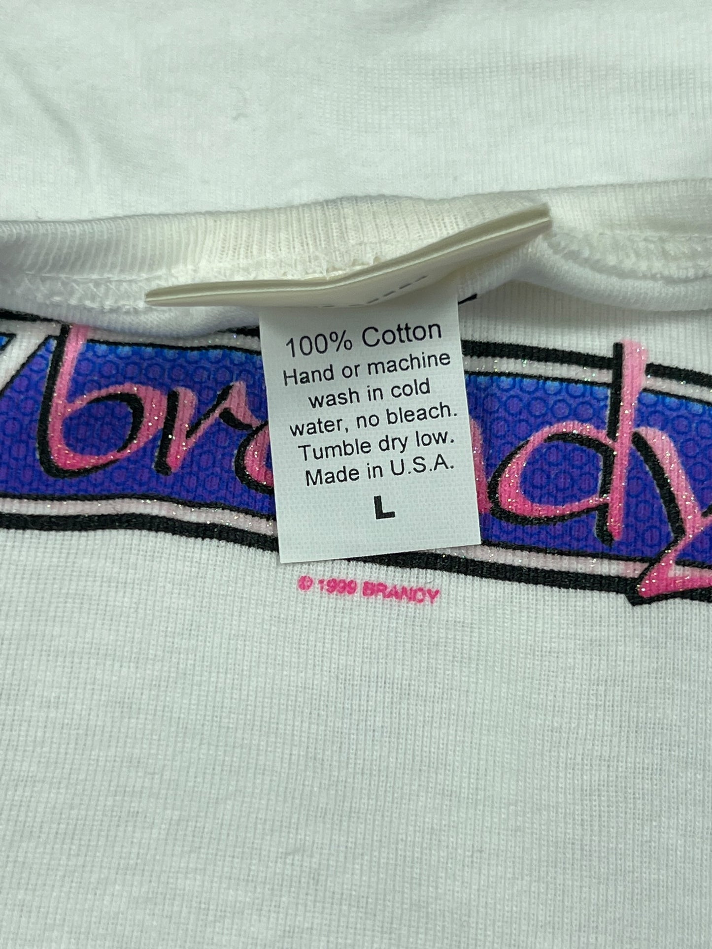 Vintage 1999 Winterland Brandy baby style white femme tee (L)
