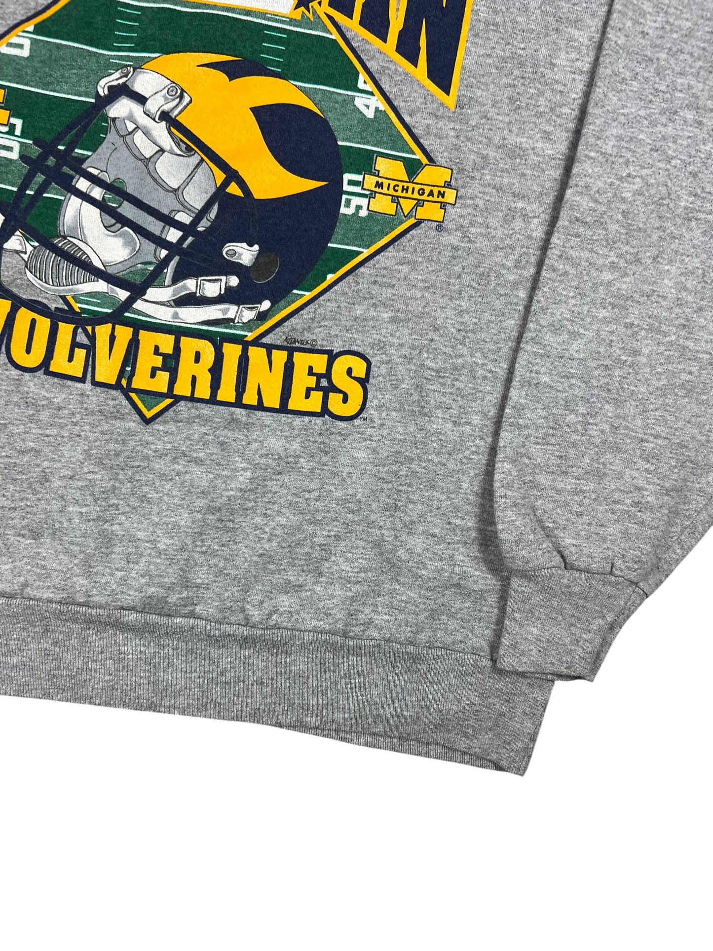 Vintage 90s University of Michigan Wolverines football crewneck (L)
