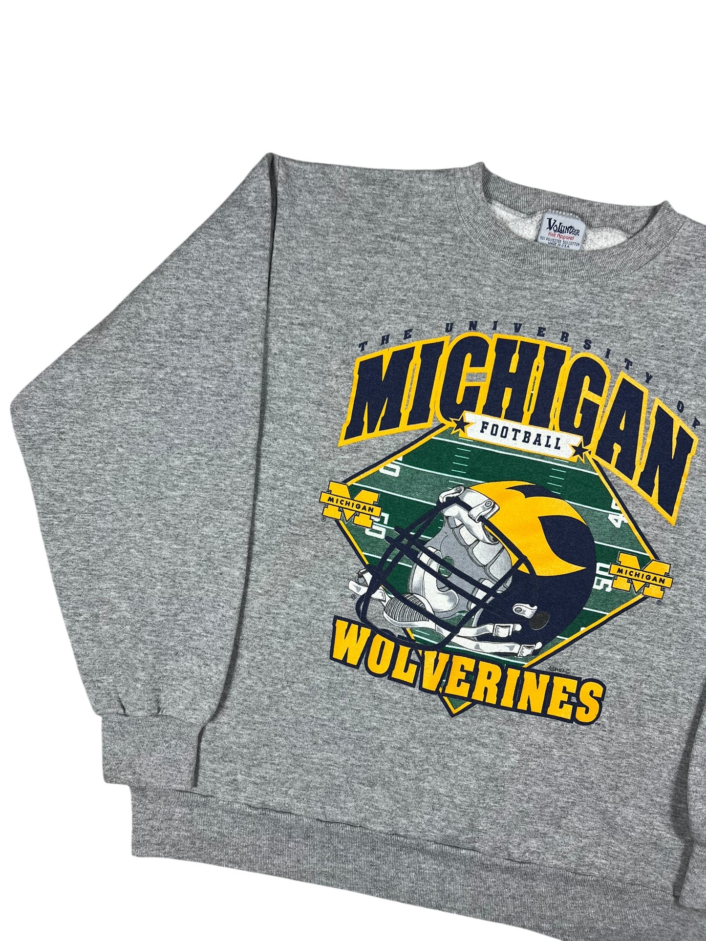 Vintage 90s University of Michigan Wolverines football crewneck (L)