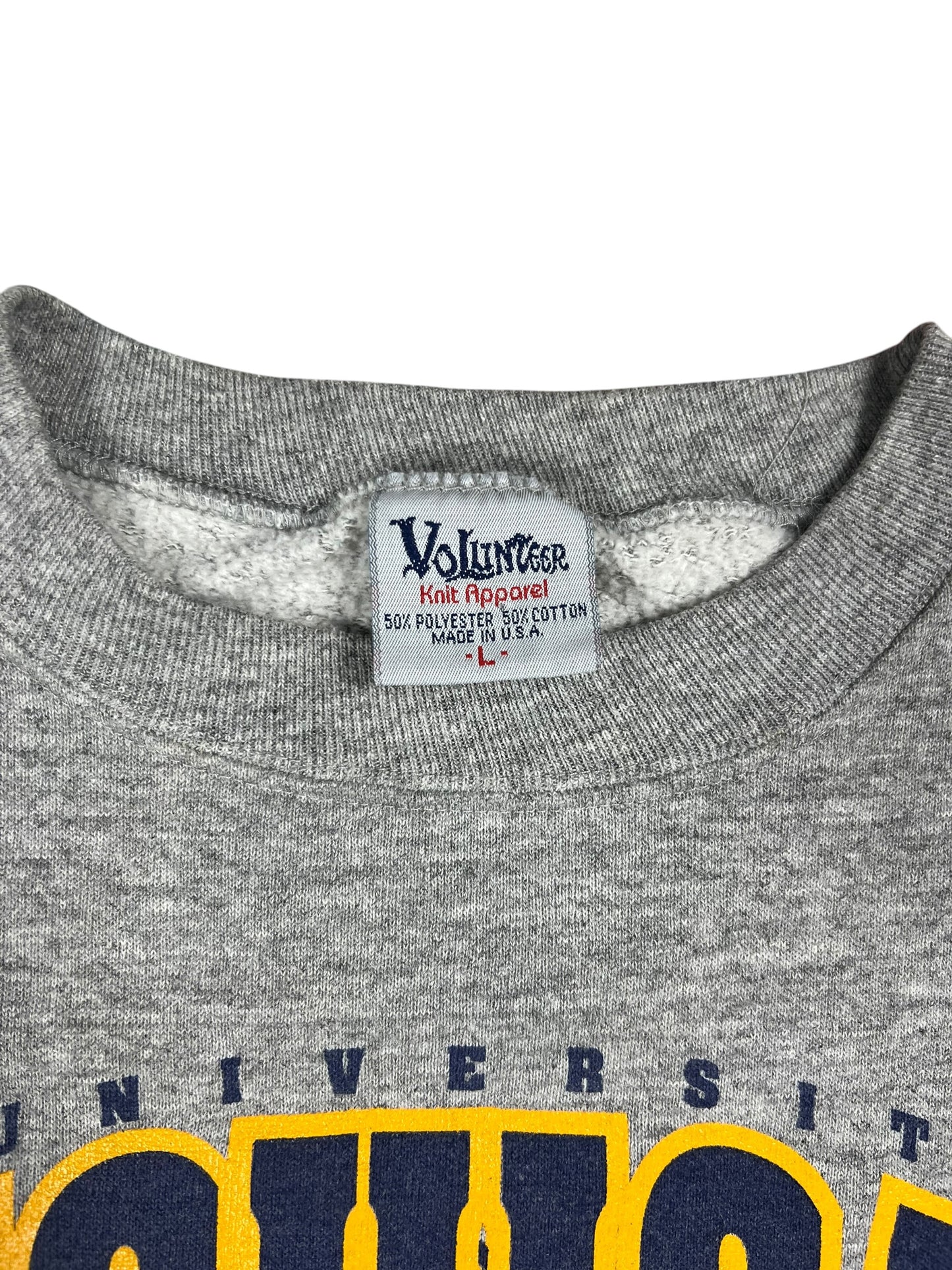 Vintage 90s University of Michigan Wolverines football crewneck (L)