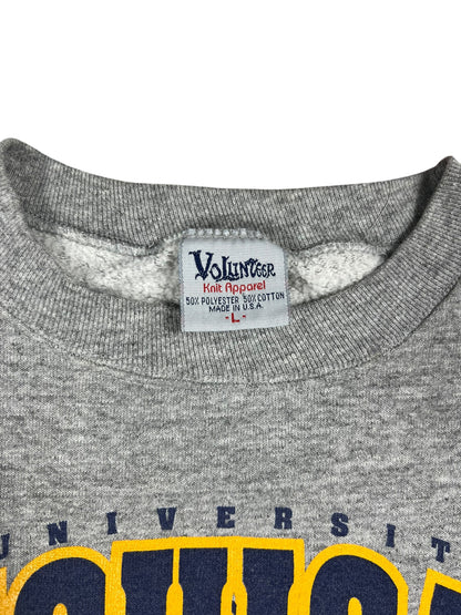 Vintage 90s University of Michigan Wolverines football crewneck (L)