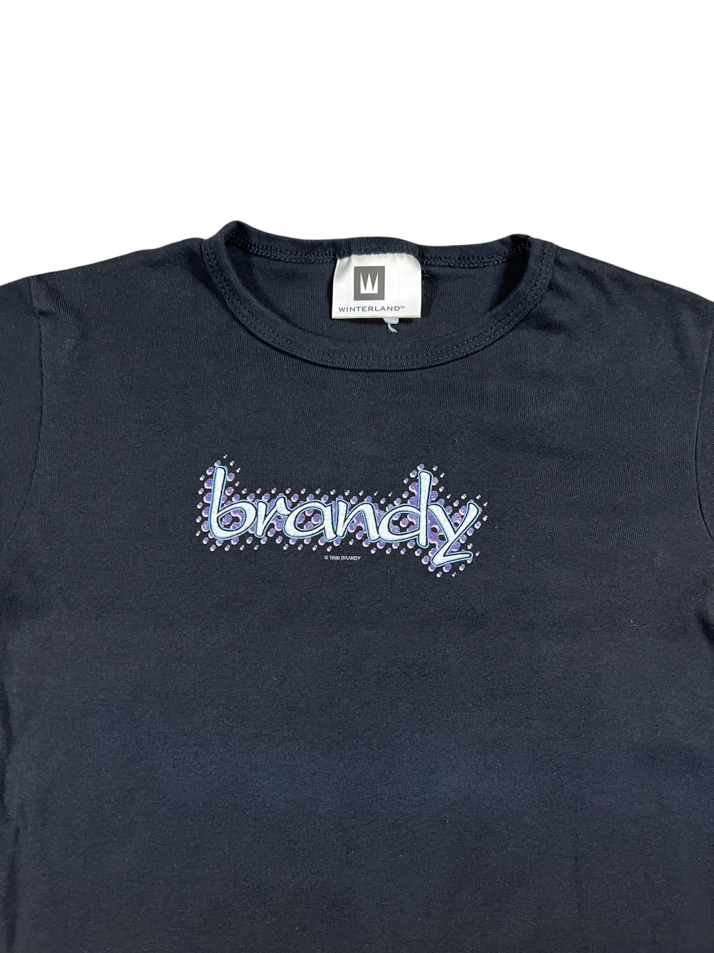 Vintage 1999 Winterland Brandy baby style black femme tee (L)