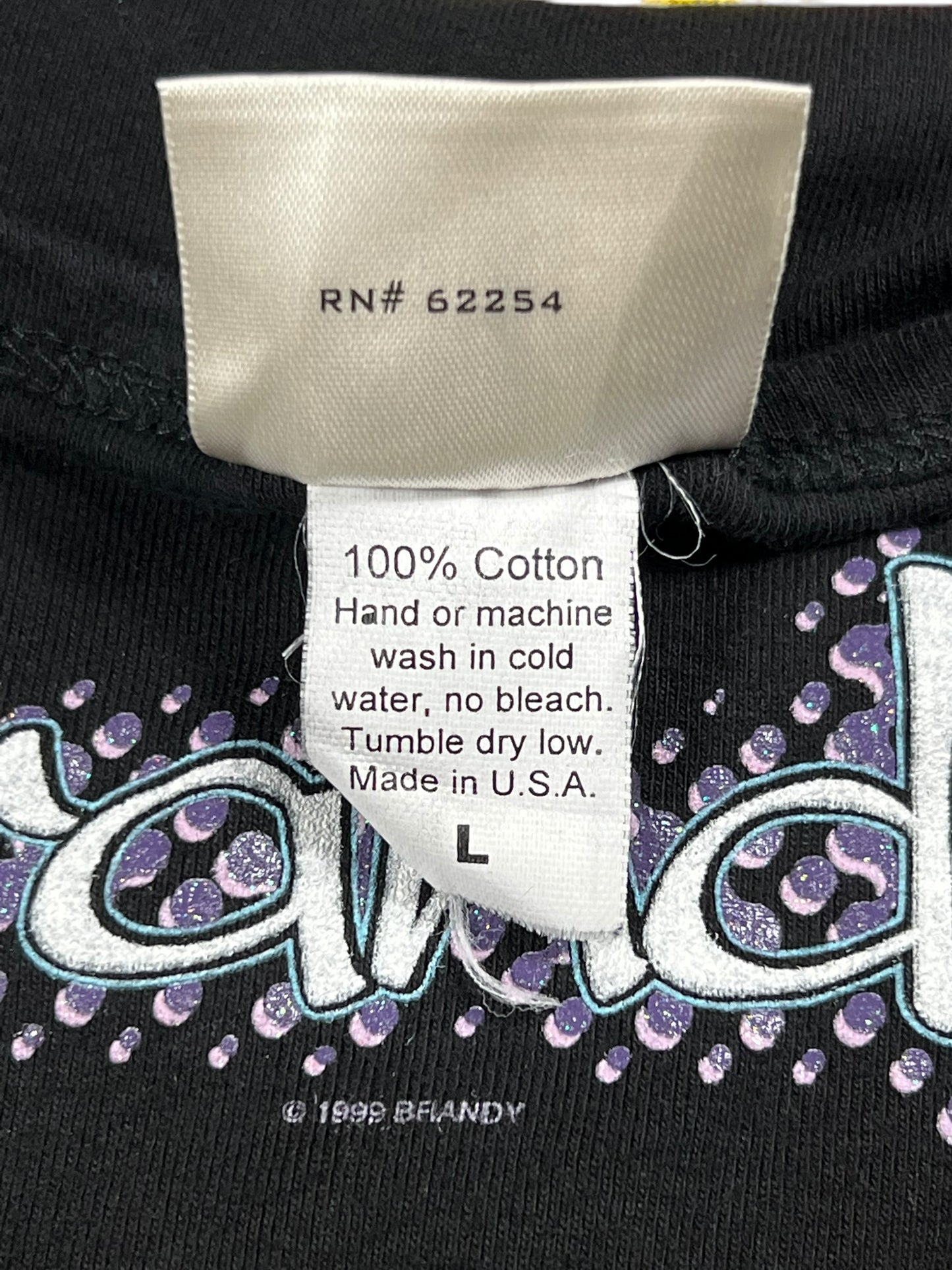 Vintage 1999 Winterland Brandy baby style black femme tee (L)