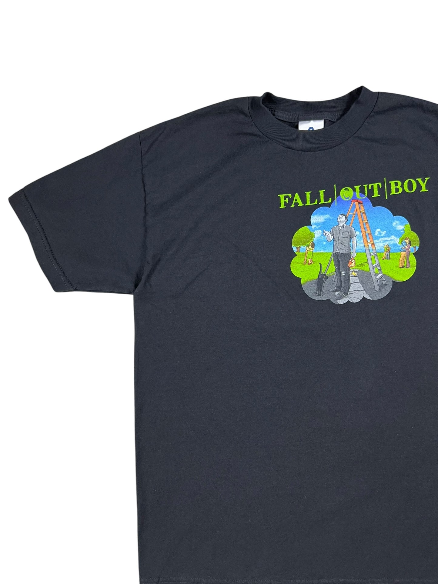 Vintage Y2K Fall Out Boy Black Clouds & Underage Tour band tee (M)