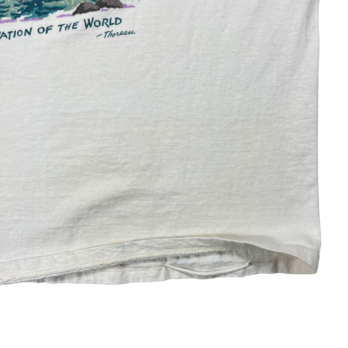 Vintage 90s L.L. Bean In Wildness Is The Preservation Of The World Henry David Thoreau art nature tee (L/XL)