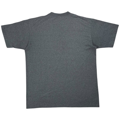 Vintage Y2K The North Face TNF Fine Alpine Equipment tee (L)