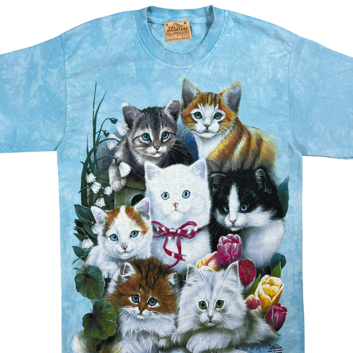 Vintage 2000 The Mountain Cat Kittens jumbo print tie dye tee (M)