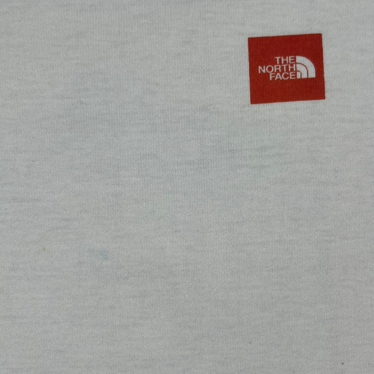 Vintage 90s The North Face of Mt Everest TNF art tee (L/XL)