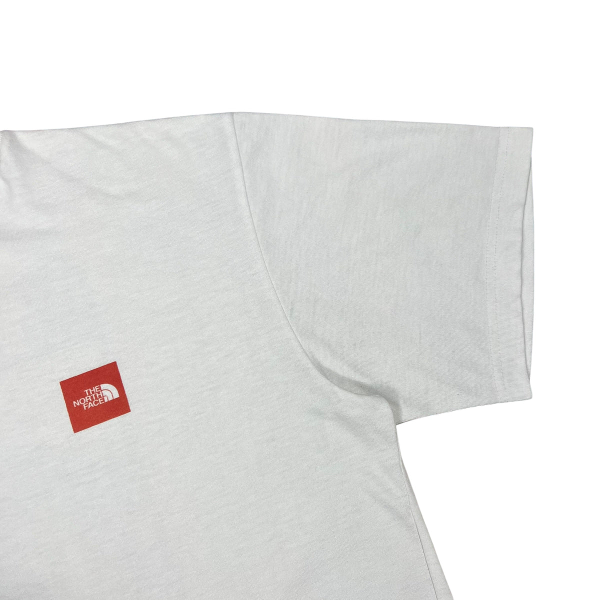 Vintage 90s The North Face of Mt Everest TNF art tee (L/XL)