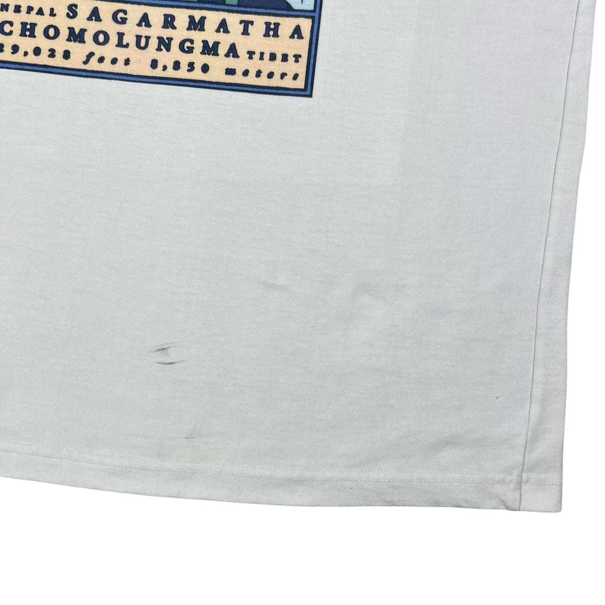 Vintage 90s The North Face of Mt Everest TNF art tee (L/XL)
