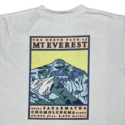 Vintage 90s The North Face of Mt Everest TNF art tee (L/XL)