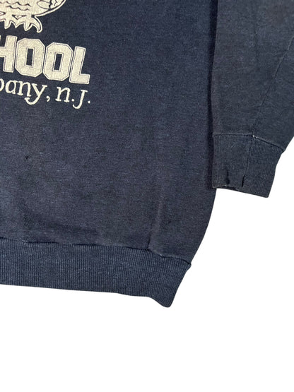 Vintage 1970s Montgomery Ward Northvale School NJ faded crewneck (S)