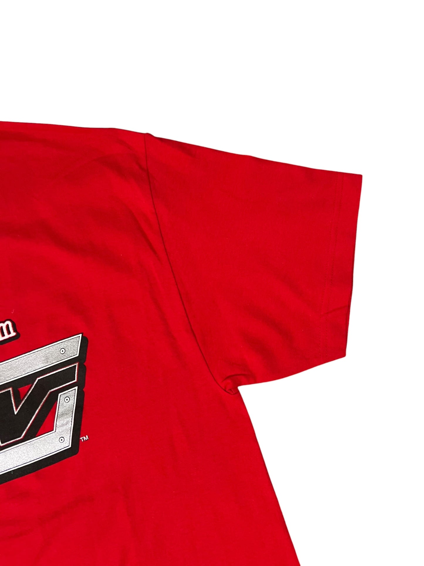 Vintage 2002 WWE “I do it till I’m RAW” wrestling tee (XL)