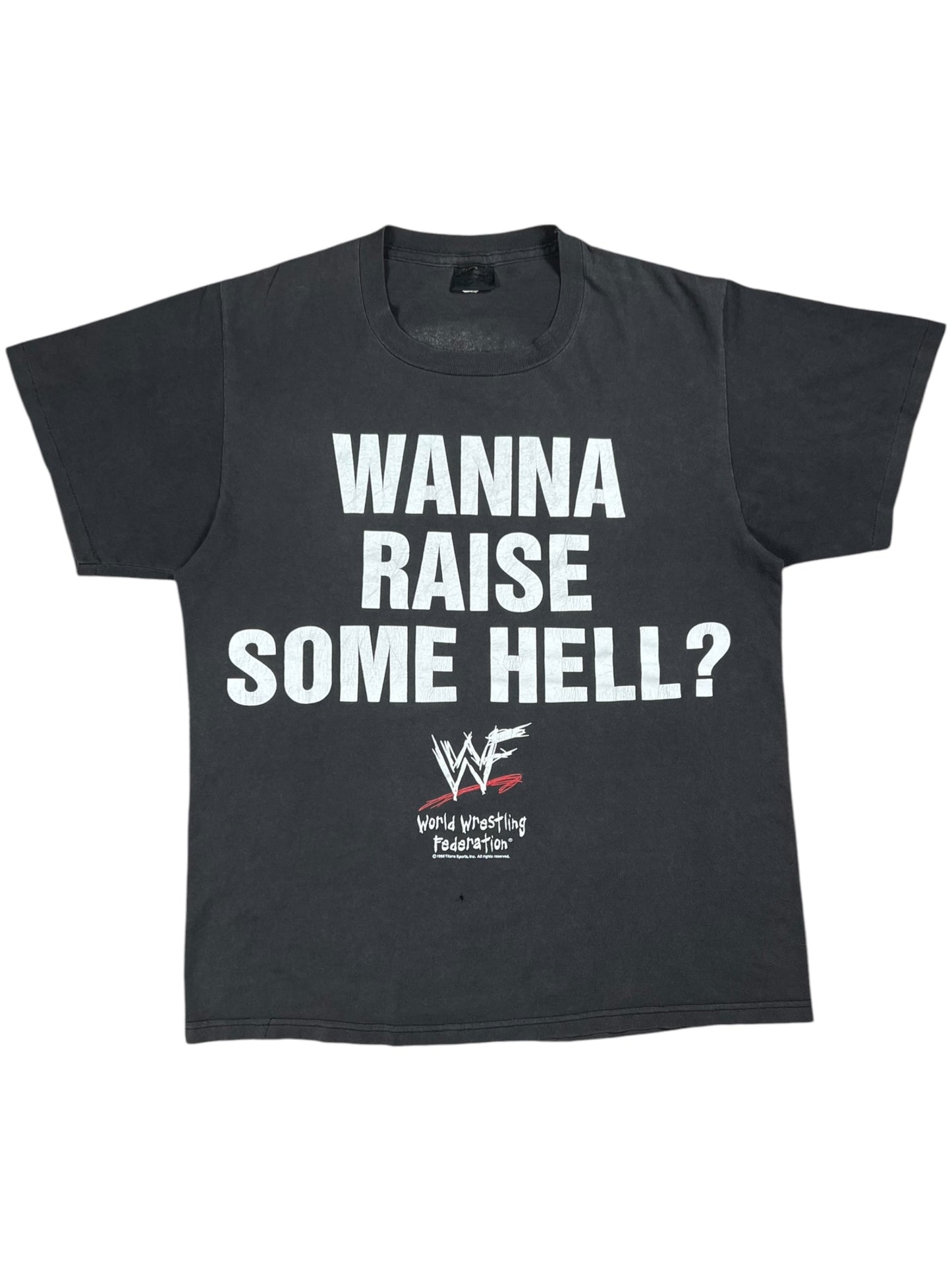 Vintage 1998 WWF Stone Cold Steve Austin HELL YEAH! faded wrestling tee (L)