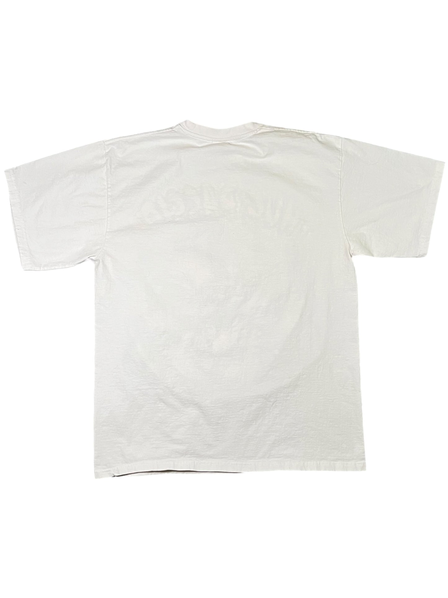 Vintage Y2K Tupac Shakur Thug Passion 2pac rap tee (XL)
