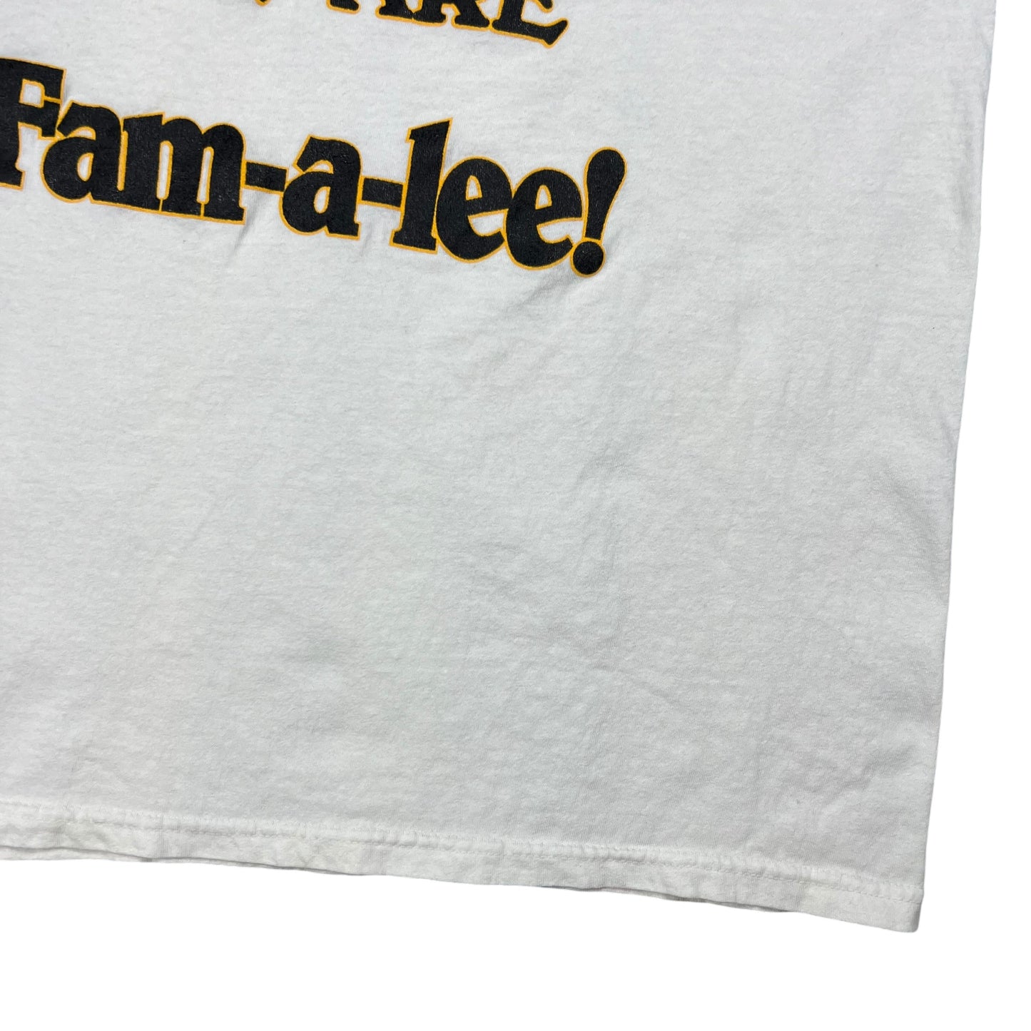 Vintage 1999 Pittsburgh Pirates We Are Fam-A-Lee tee (M)