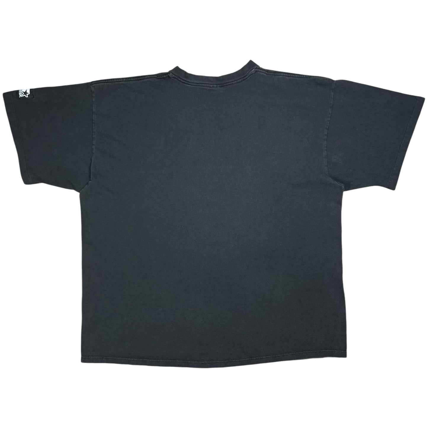 Vintage 1995 Starter Pittsburgh Steelers 60 Minute Men faded tee (L/XL)