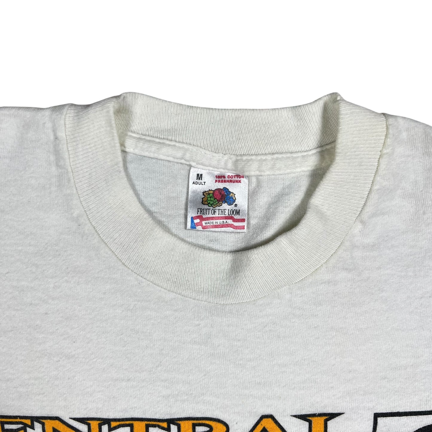 Vintage 1994 Pittsburgh Steelers AFC champions NFL tee (M)