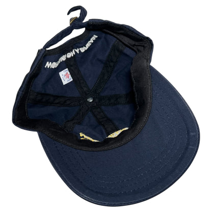 Vintage Y2K Bruce Springsteen and The E Street Band Working On A Dream StrapBack hat